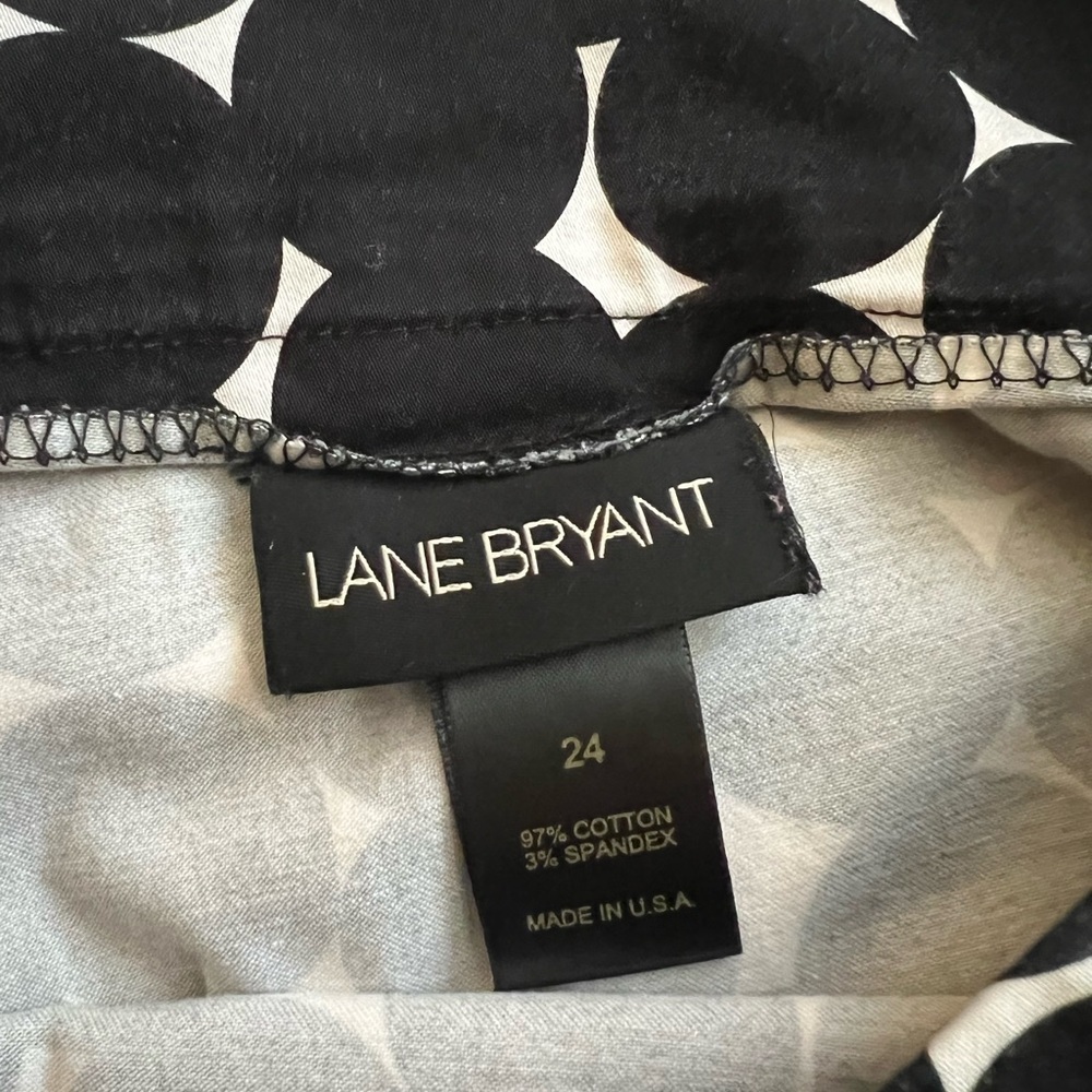 ***Lane Bryant Vintage-Style Polka Dot A-Line Skirt - Size 24 - Picture 4 of 5